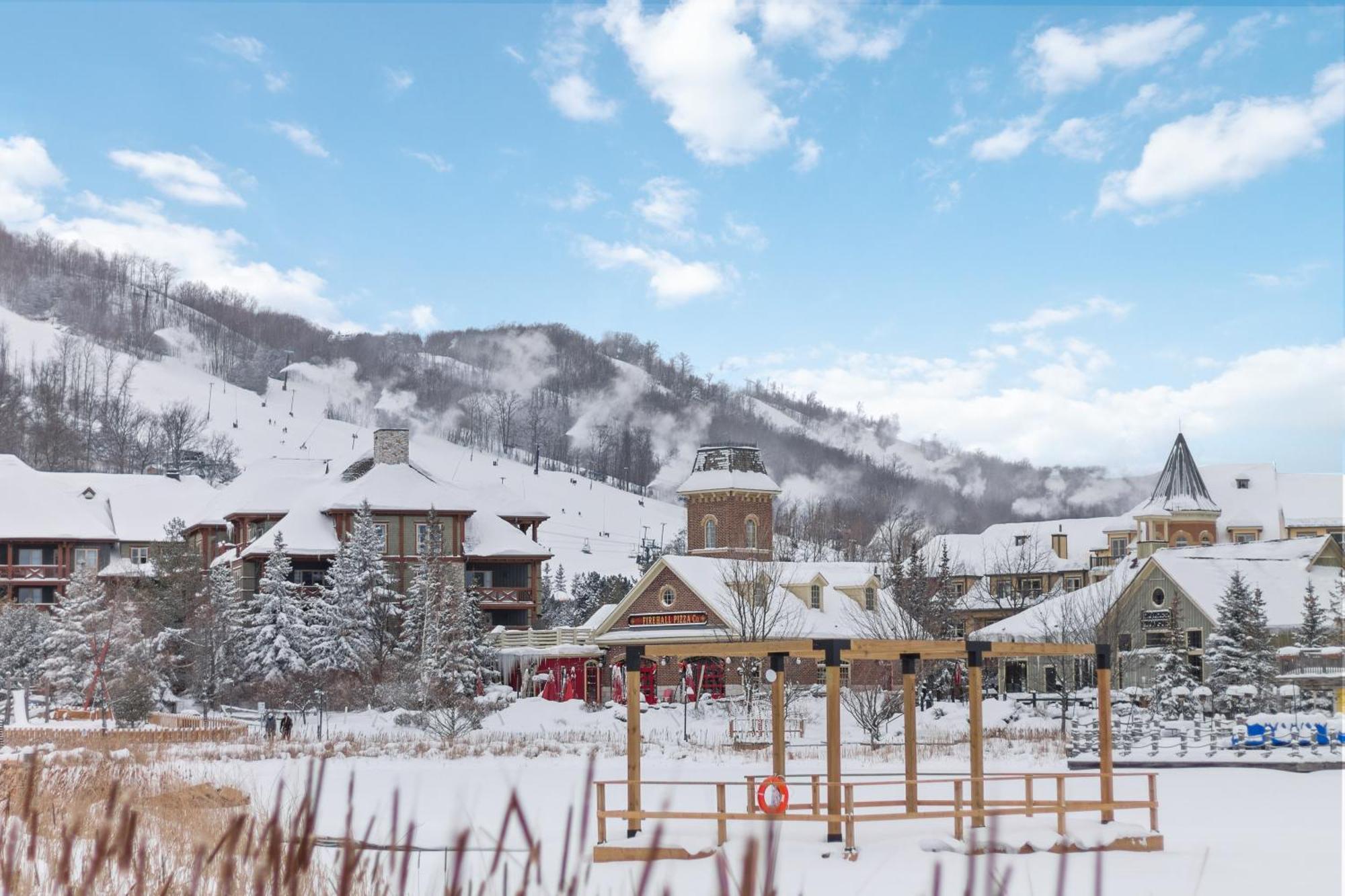 Lovely 3 Bedroom Wintergreen Retreat W Sauna Блу Маунтинс Екстериор снимка